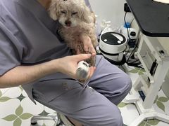 -达爱动物医院·犬猫分区·CT·复杂眼科(远洋山水分院)