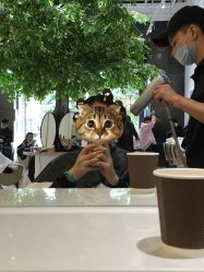 -OnHair Salon