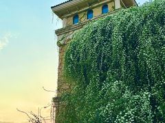 -府河摄影公园
