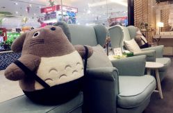 点击看大图 -东田造型