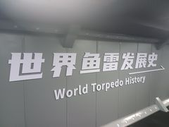 -泰达航母主题公园