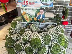 -邑家人·山水四合院