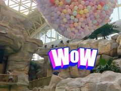 -杭州开元森泊度假乐园