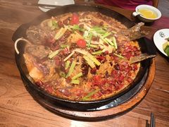 -老板恋上鱼(印象城店)