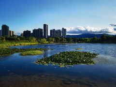 -恋羊时代黑山羊火锅(滨海大道店)