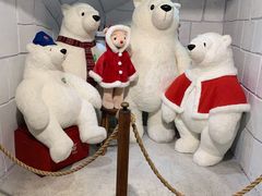 -济州岛泰迪熊博物馆