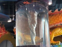 -中国宋庆龄青少年科技文化交流中心