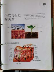 -章光101防脱养发荟