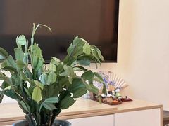 -八号公馆·老上海SPA(深圳北站店)