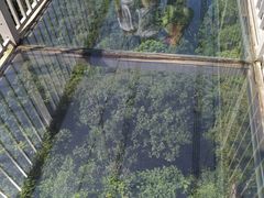 -牛鱼嘴原始生态风景区