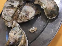 -蚝专家(北滘店)