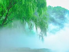 -北京西山国家森林公园