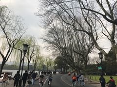 -苏堤停车场