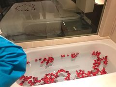 -芽庄喜来登水疗酒店