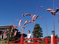 -芽庄珍珠岛游乐园