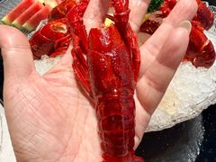-洪福龙虾