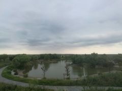-盐城丹顶鹤湿地生态旅游区