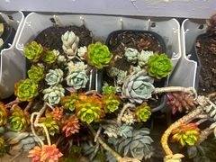 -云小肴餐厅·云南乡间口味菜餐厅