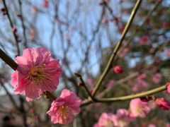 -品湘宴·湖南宁乡菜