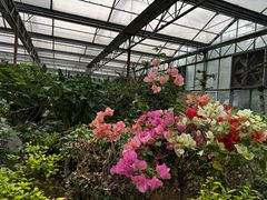 -南宫五洲植物乐园