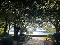 -逸廊大堂吧-下午茶·简餐-千岛湖自由洲际殿