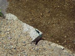 -碓臼峪自然风景区