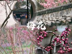 -虎丘山风景名胜区