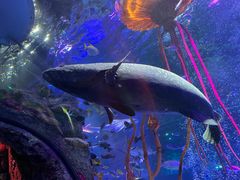 -沈阳海洋探索中心