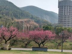 -太湖龙之梦