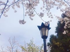 -米纸越南小馆(金鹰世界店)