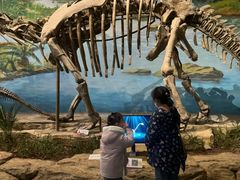 -自贡恐龙博物馆