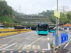 -深圳仙湖植物园