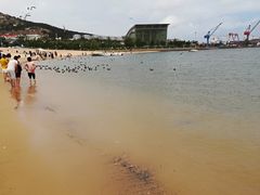 -海驴岛(荣成市)