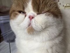 -美联众合动物医院·24h转诊中心