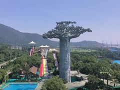 -苏州乐园森林水世界