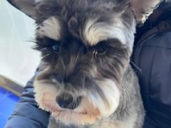 -宠颐生·恒爱宠物医院(静海店)