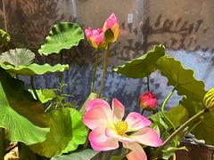 -汉水谣·江景餐厅(江滩店)