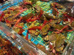 -九月海·海鲜自助(世纪东方店)