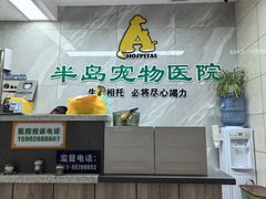 -半岛宠物医院24小时(白果林店)