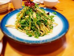 -紫光园(天通苑店)
