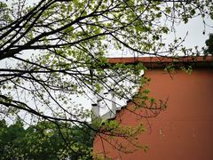-黄桷坪涂鸦艺术街
