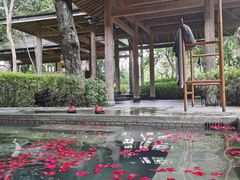 -和顺柏联温泉