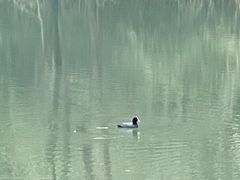 -昆山城市生态森林公园