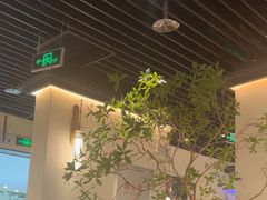 -大榕树下顺德菜(融创茂店)