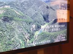 -巴奴毛肚火锅(二七万达店)