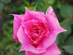 -杭州城北体育公园