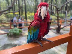 -北京野生动物园