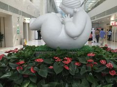 -北京协和医院(东单院区)