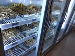 -小郡肝串串香(北蔡店)