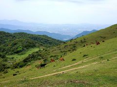 -大姆山草场